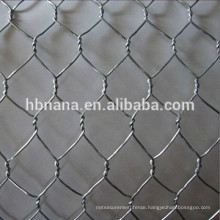 Hot sale Galvanized Hexagonal Wire Mesh / Wire Netting / chicken wire mesh with lowest price